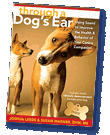 Through a Dog's Ear Book & Music CD 